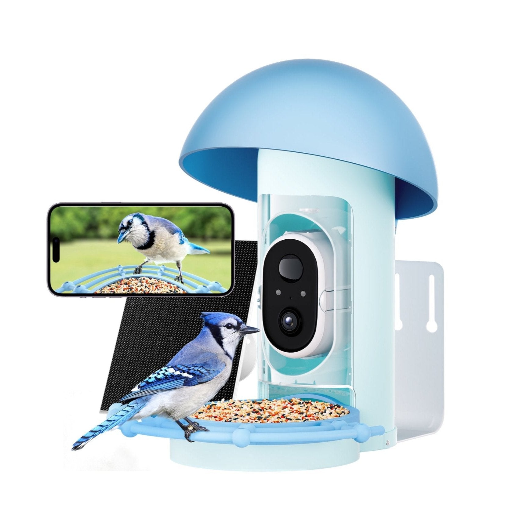 bbpEco Plastic Bird Feeder with Camera