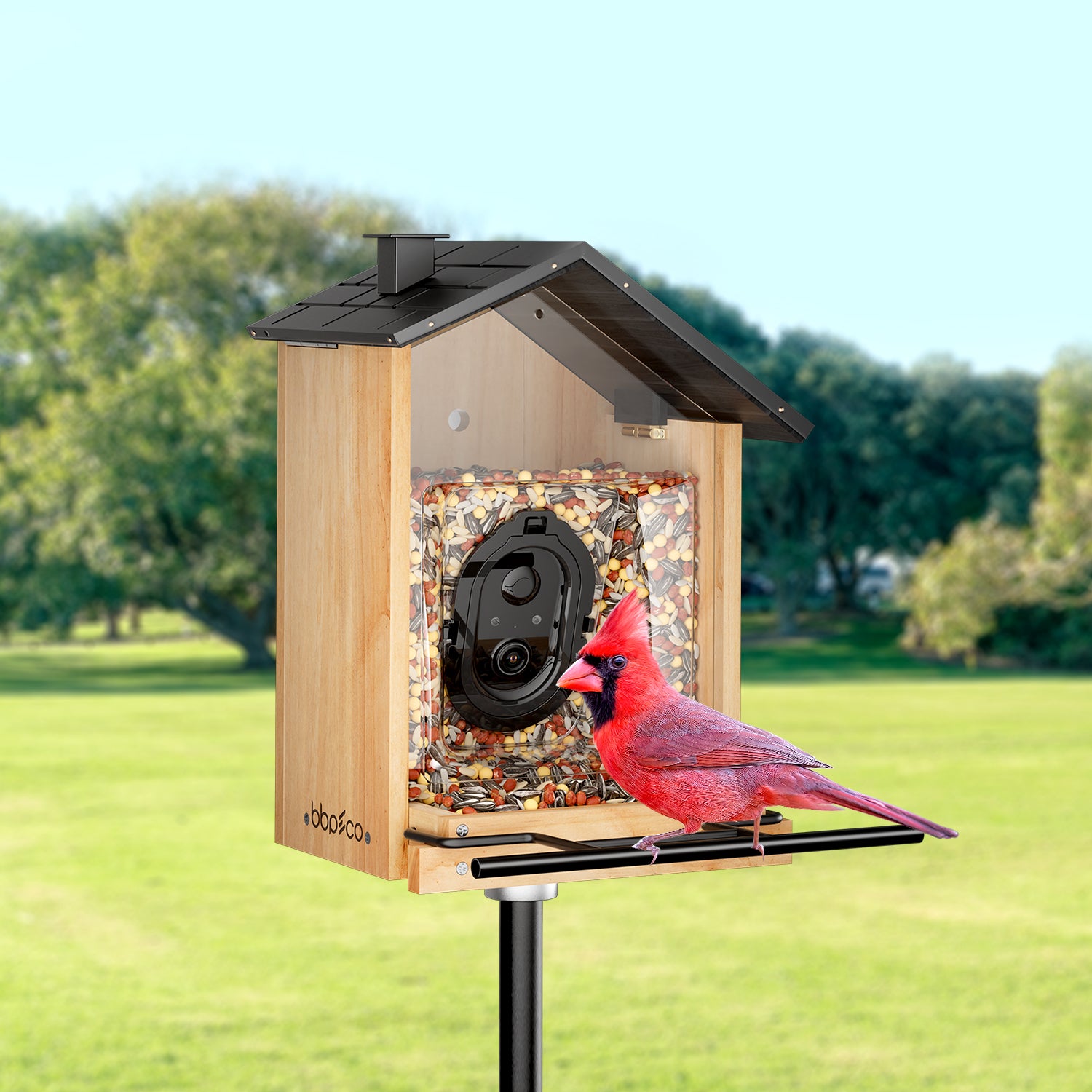 bbpEco Wood Bird Feeder with Camera
