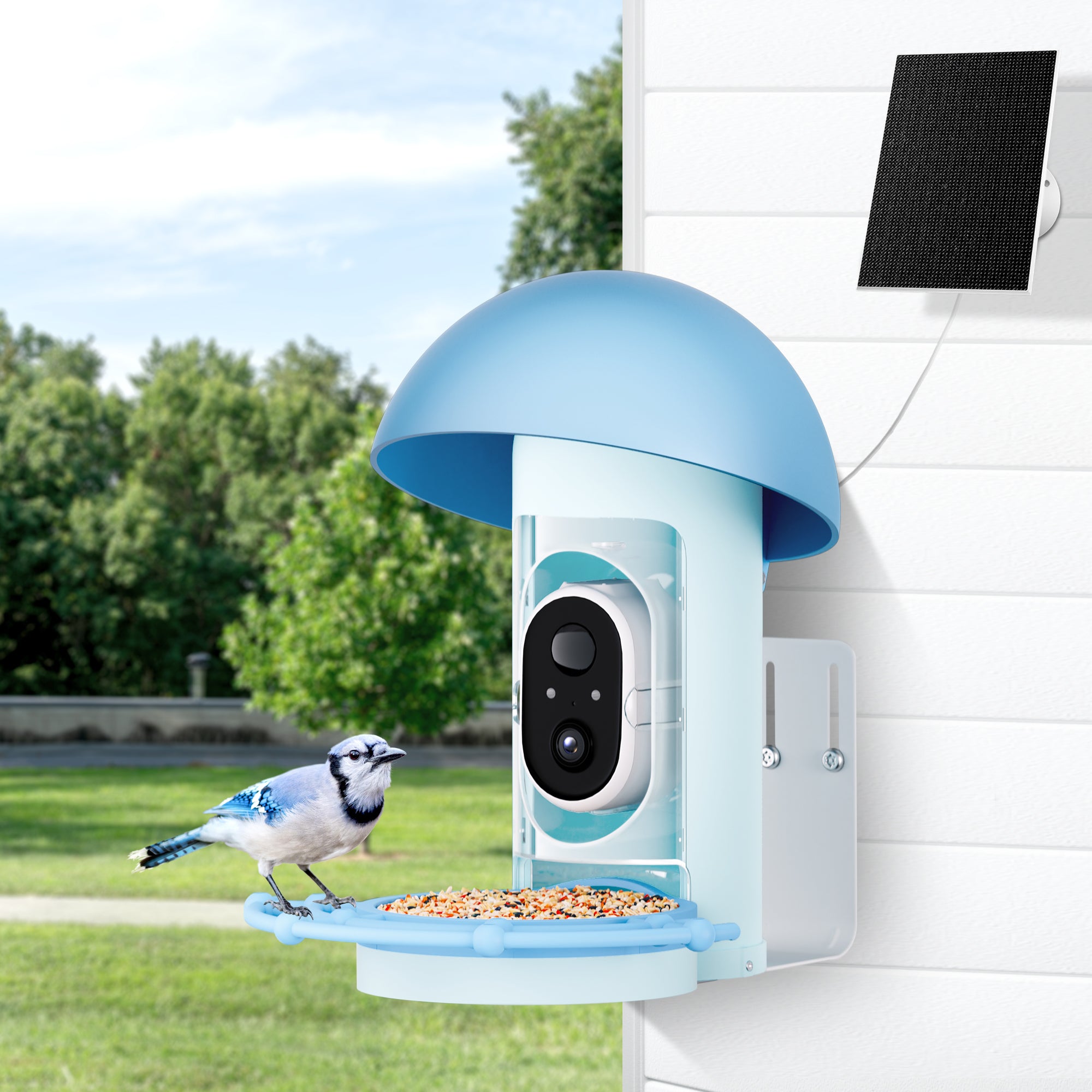 bbpEco Plastic Bird Feeder with Camera