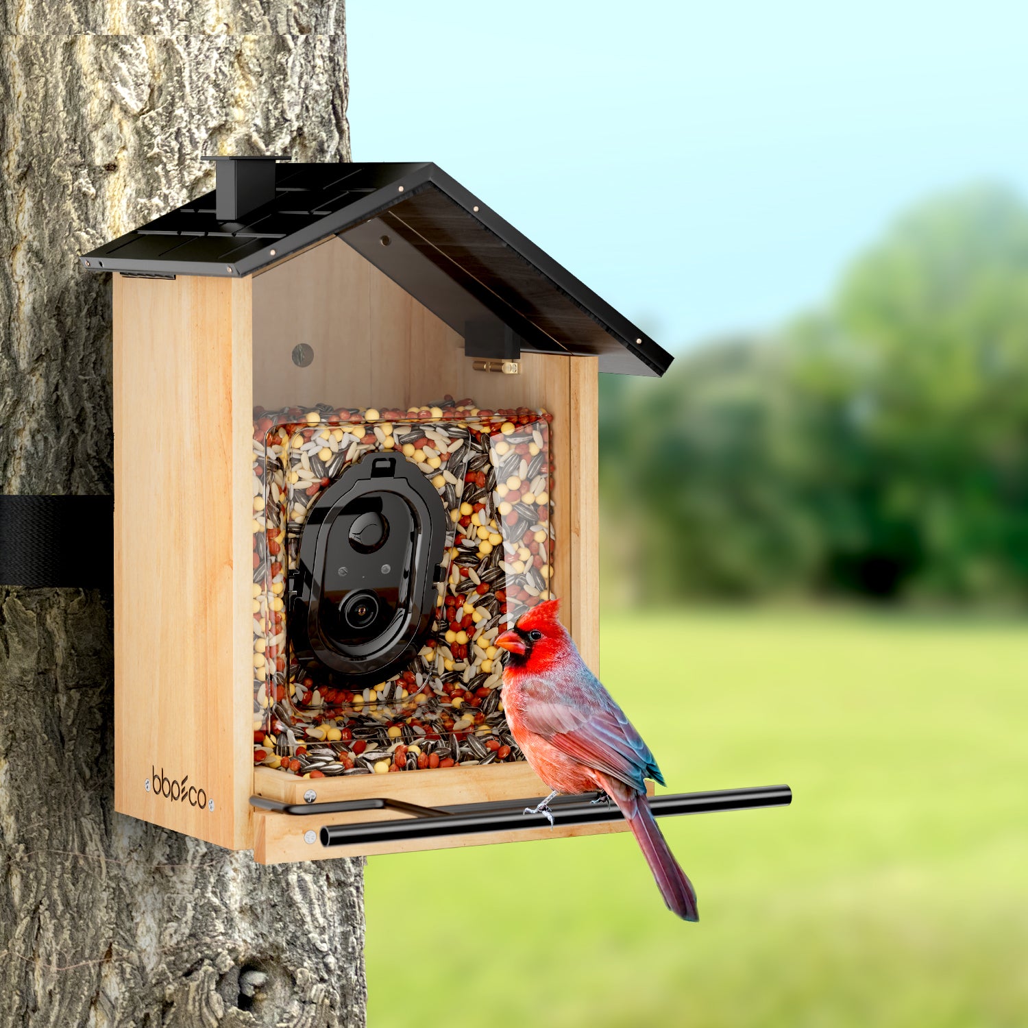 bbpEco Wood Bird Feeder with Camera