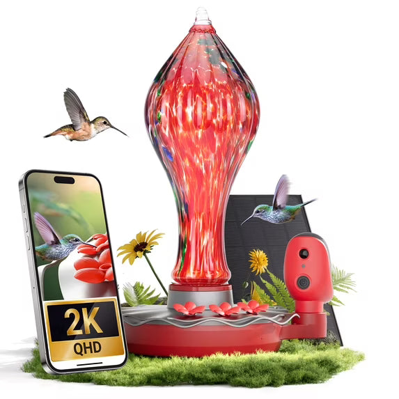 bbpEco Glass Hummingbird Feeder with Camera