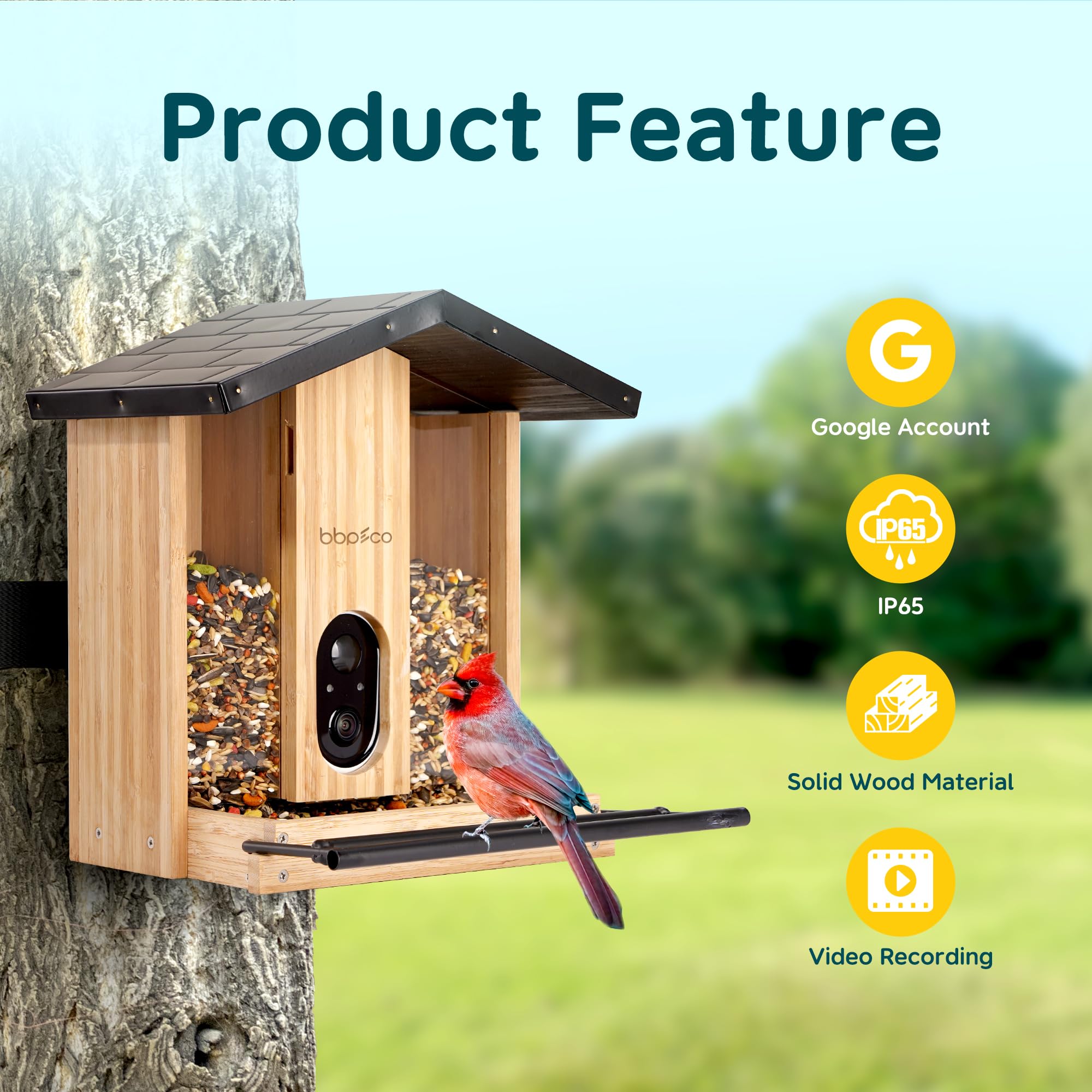 bbpEco Bamboo Bird Feeder with Camera