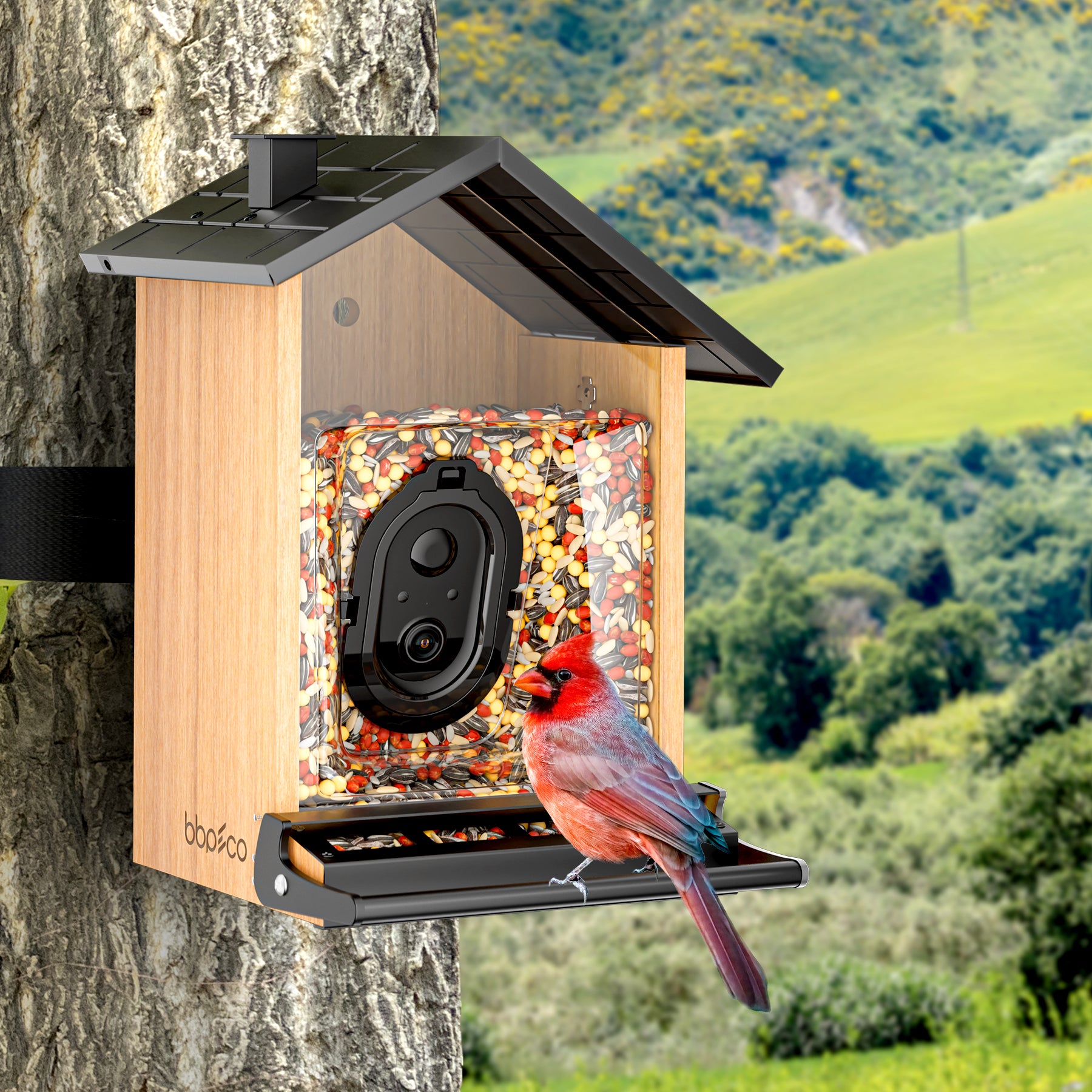 bbpEco Squirrel-Proof Bamboo Bird Feeder with Camera