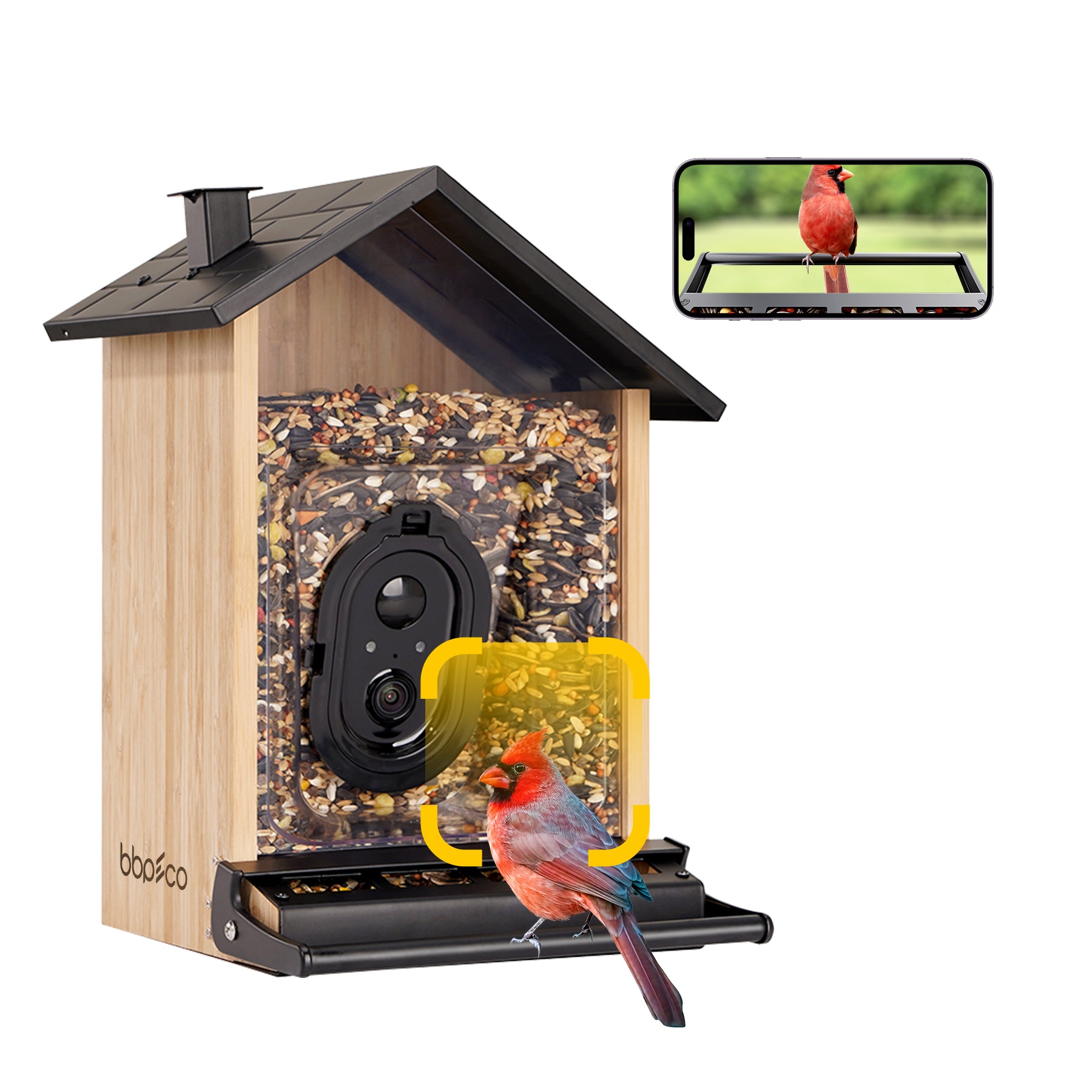 bbpEco Squirrel-Proof Bamboo Bird Feeder with Camera