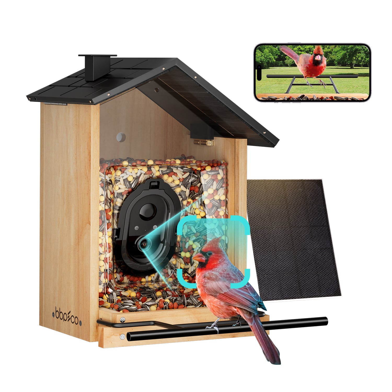 bbpEco Wood Wild Bird Feeder with Camera