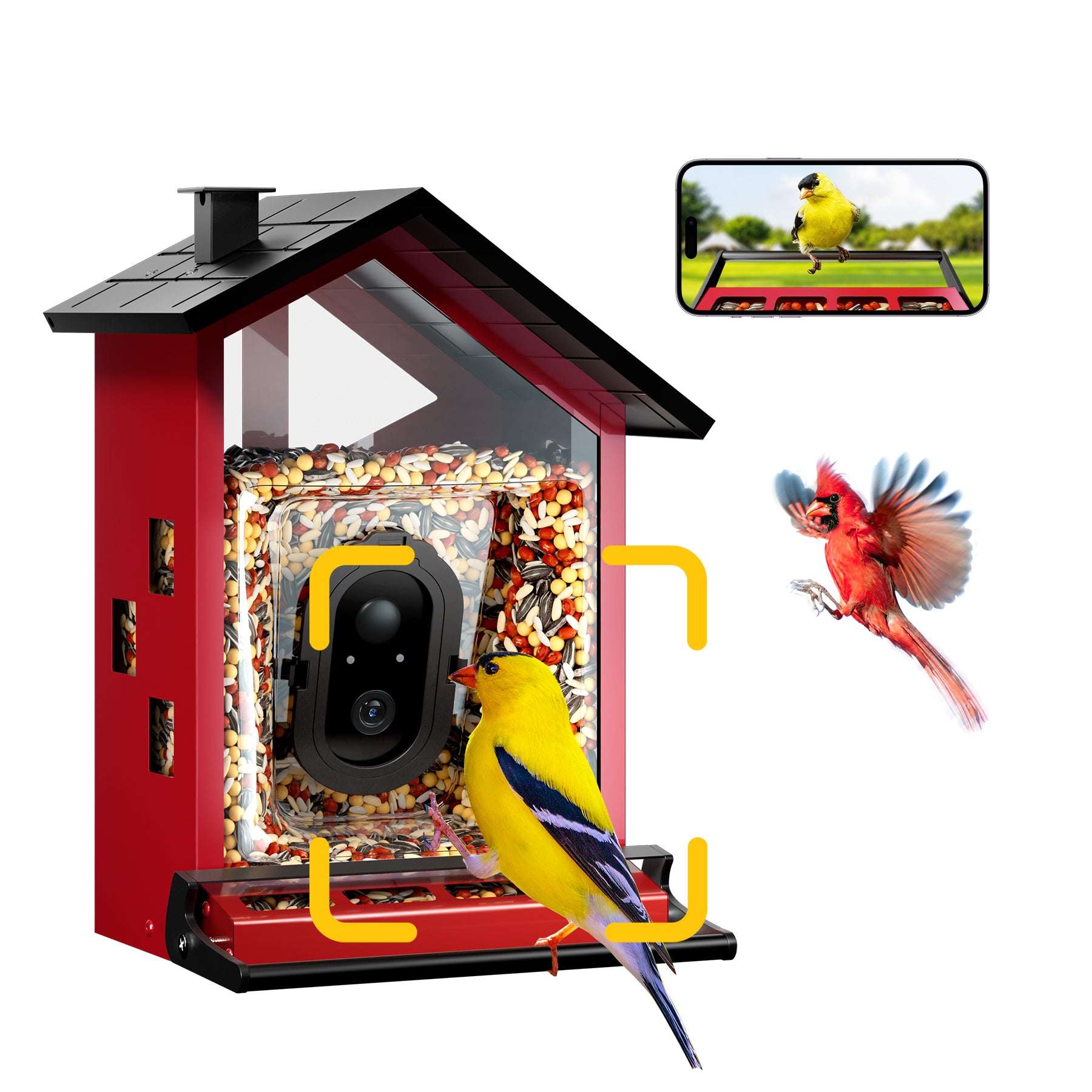 bbpEco Squirrel-Proof Metal Bird Feeder with Camera Blue/Red