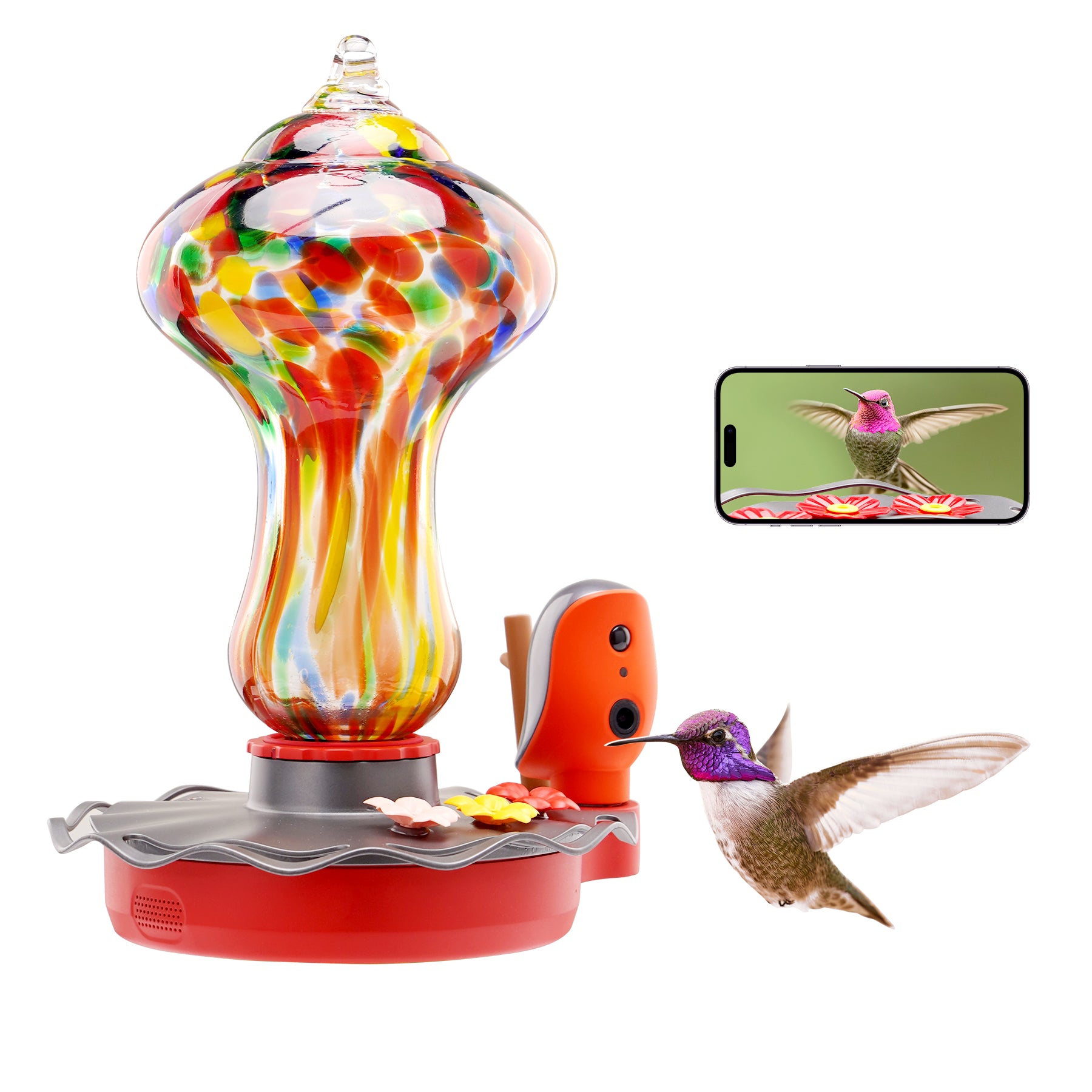 bbpEco Antique Glass Smart Hummingbird Feeder