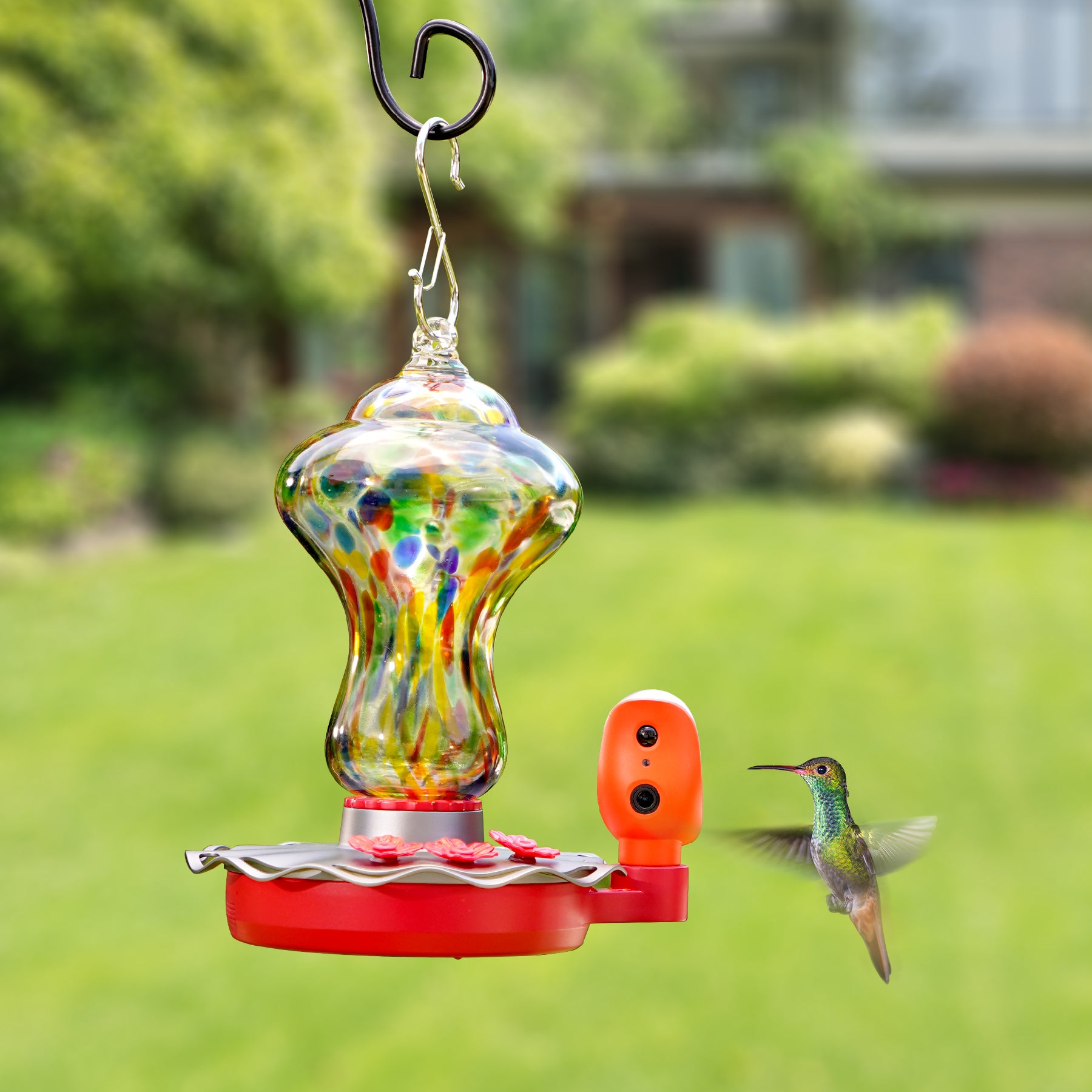 bbpEco Antique Glass Smart Hummingbird Feeder