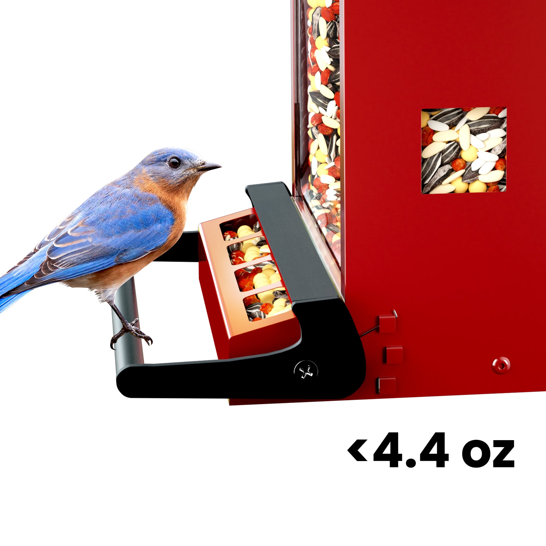 bbpEco Squirrel-Proof Metal Bird Feeder with Camera Blue/Red