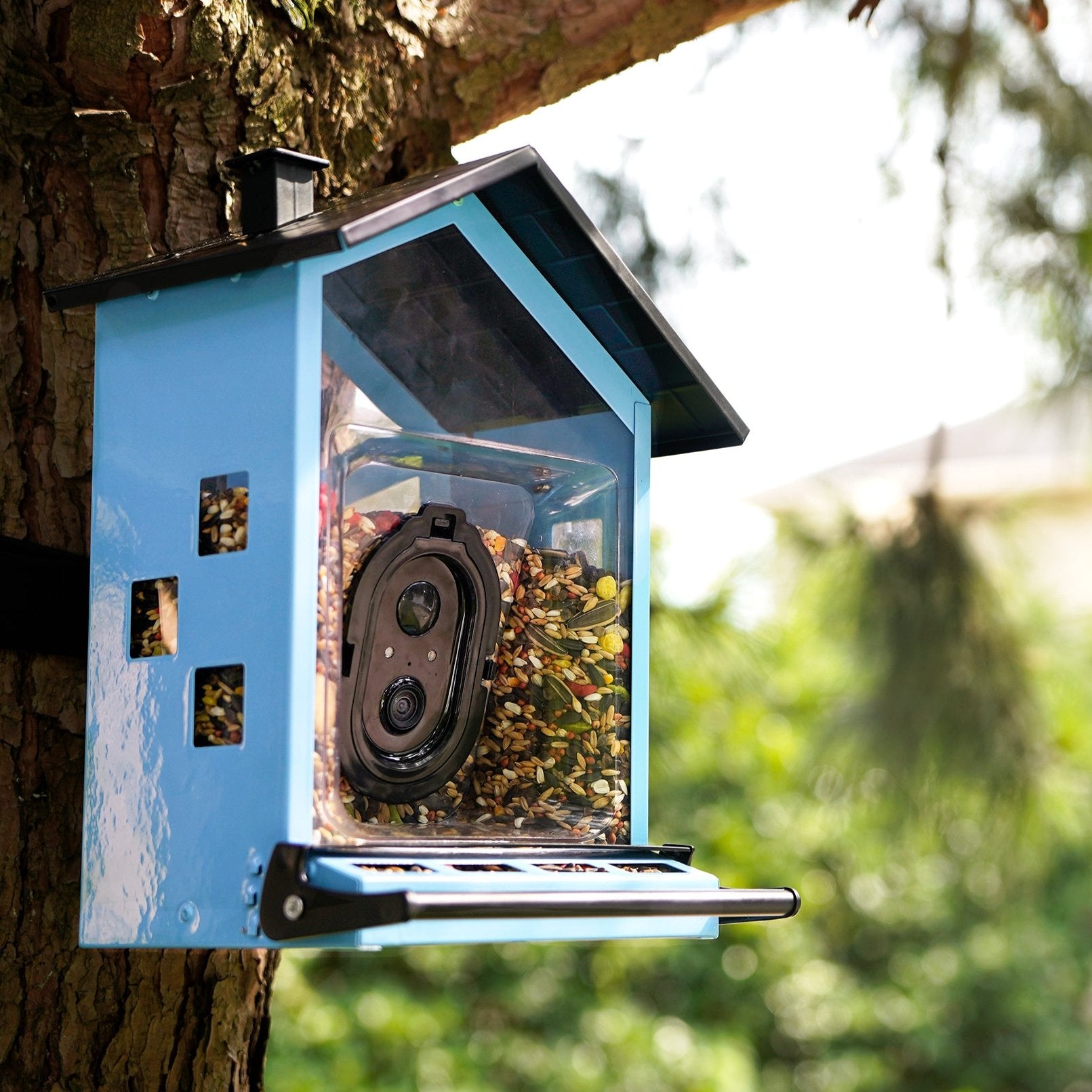 bbpEco Squirrel-Proof Metal Bird Feeder with Camera Blue/Red