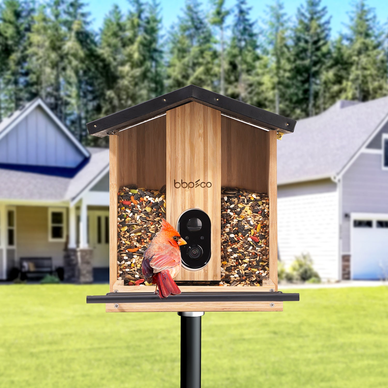 bbpEco Bamboo Tray Bird Feeder with Camera