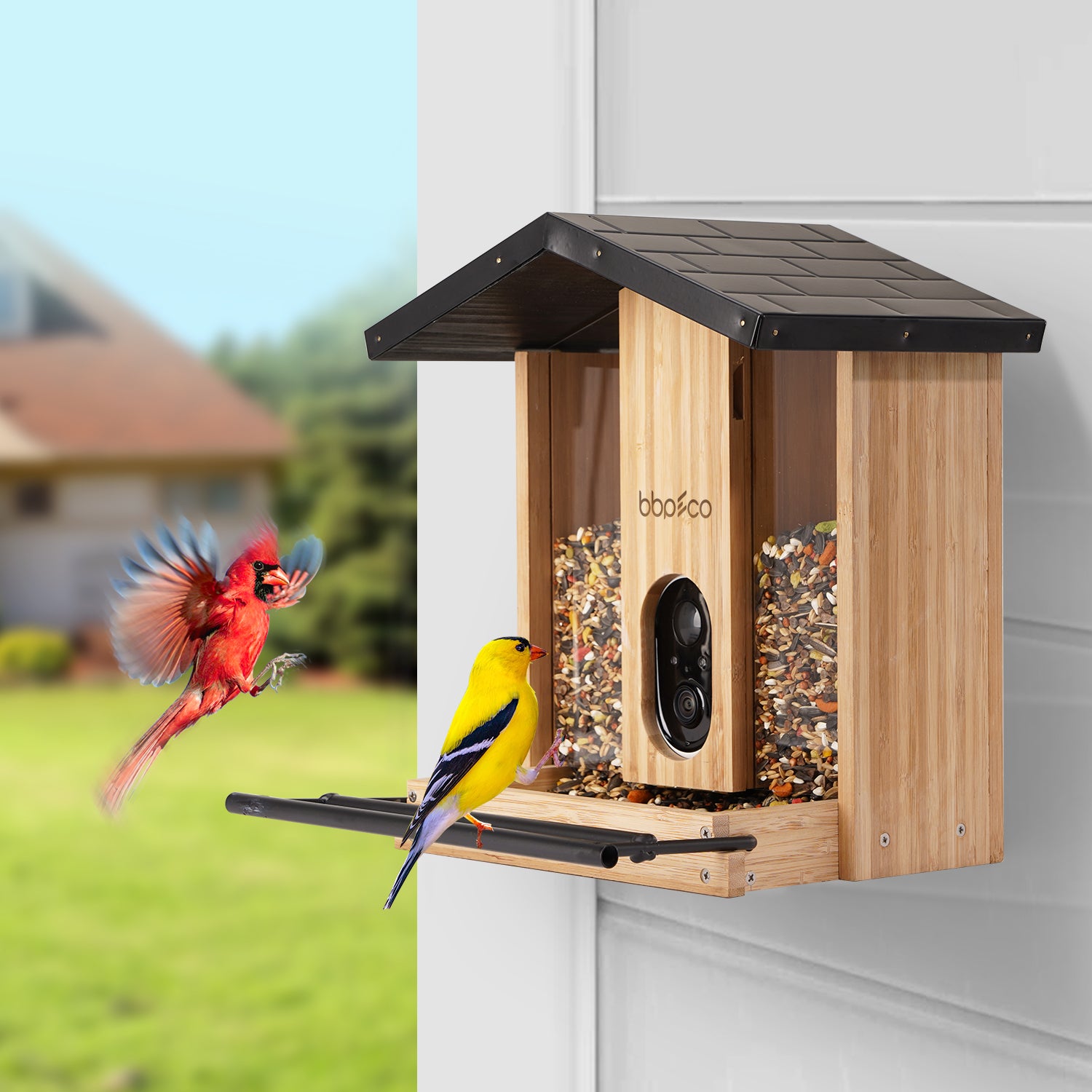 bbpEco Wood Tray Bird Feeder with Camera