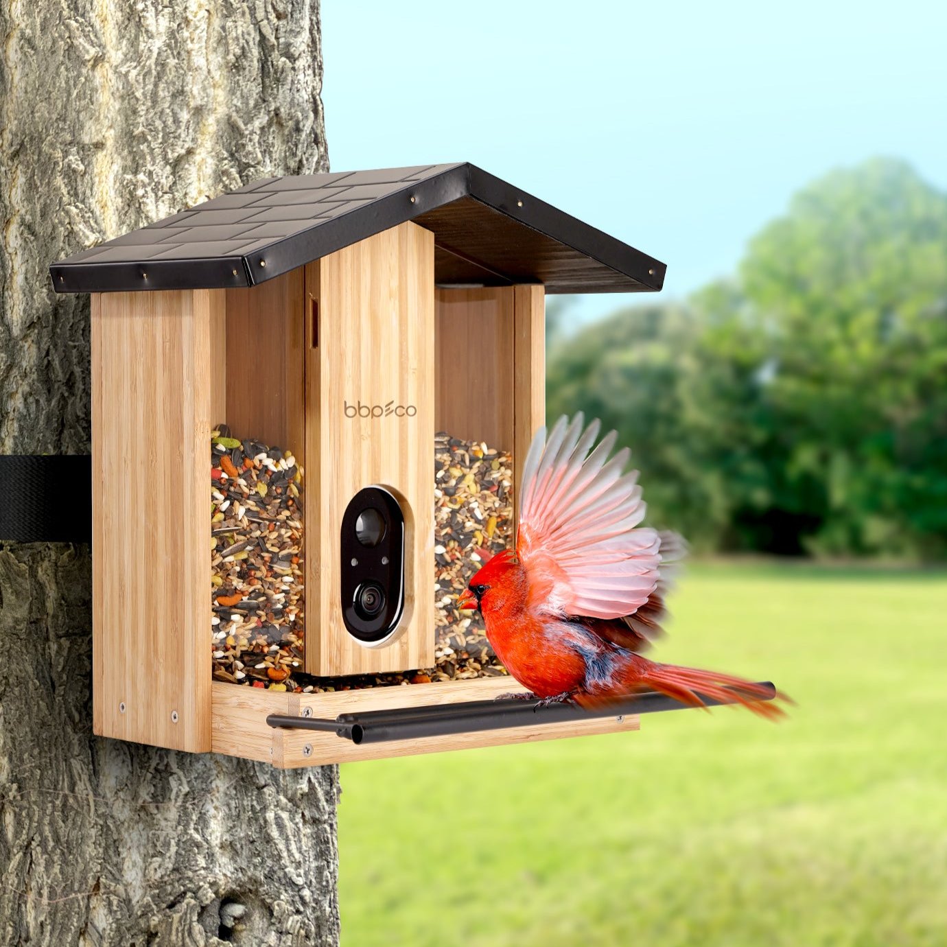 bbpEco Bamboo Tray Bird Feeder with Camera