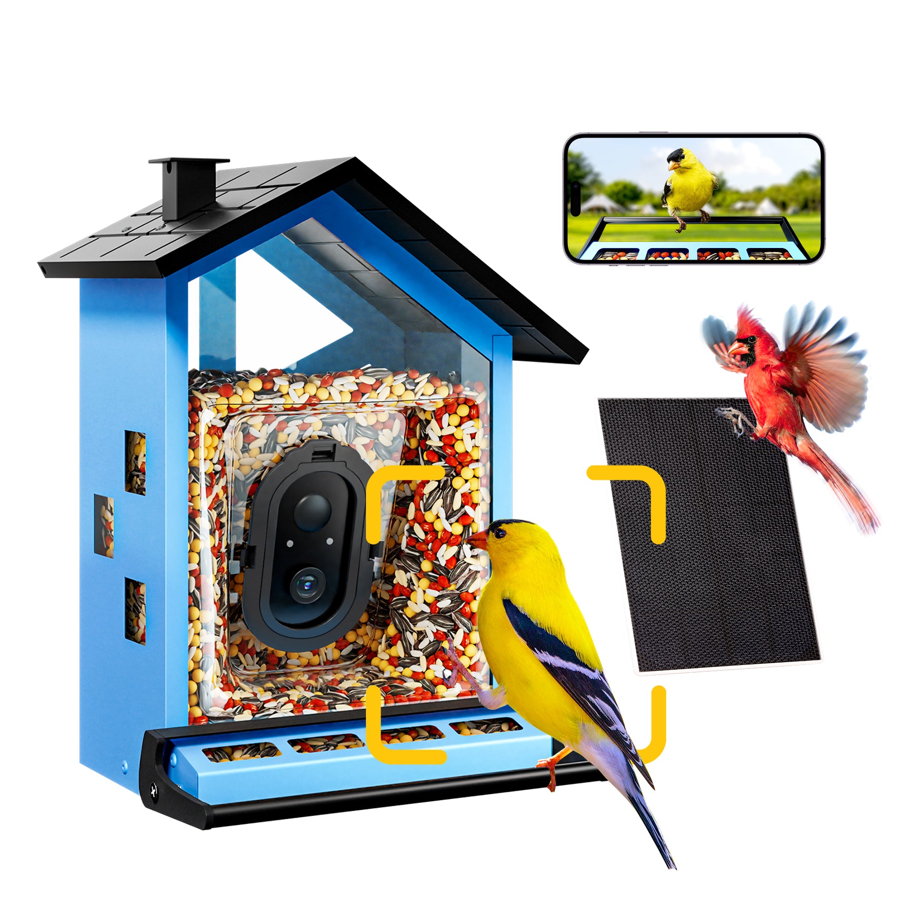 bbpEco Squirrel-Proof Metal Bird Feeder with Camera Blue/Red