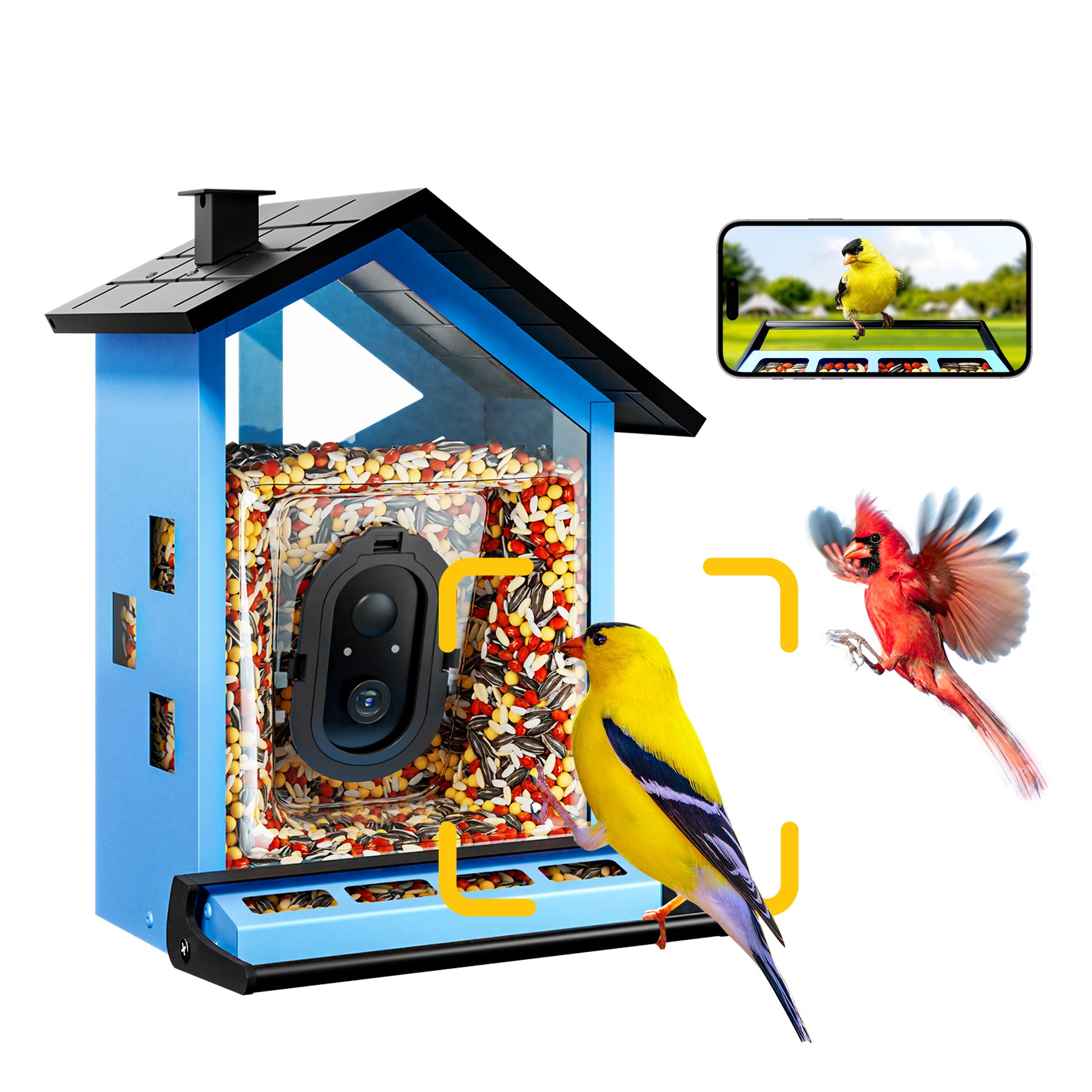 bbpEco Squirrel-Proof Metal Bird Feeder with Camera Blue/Red