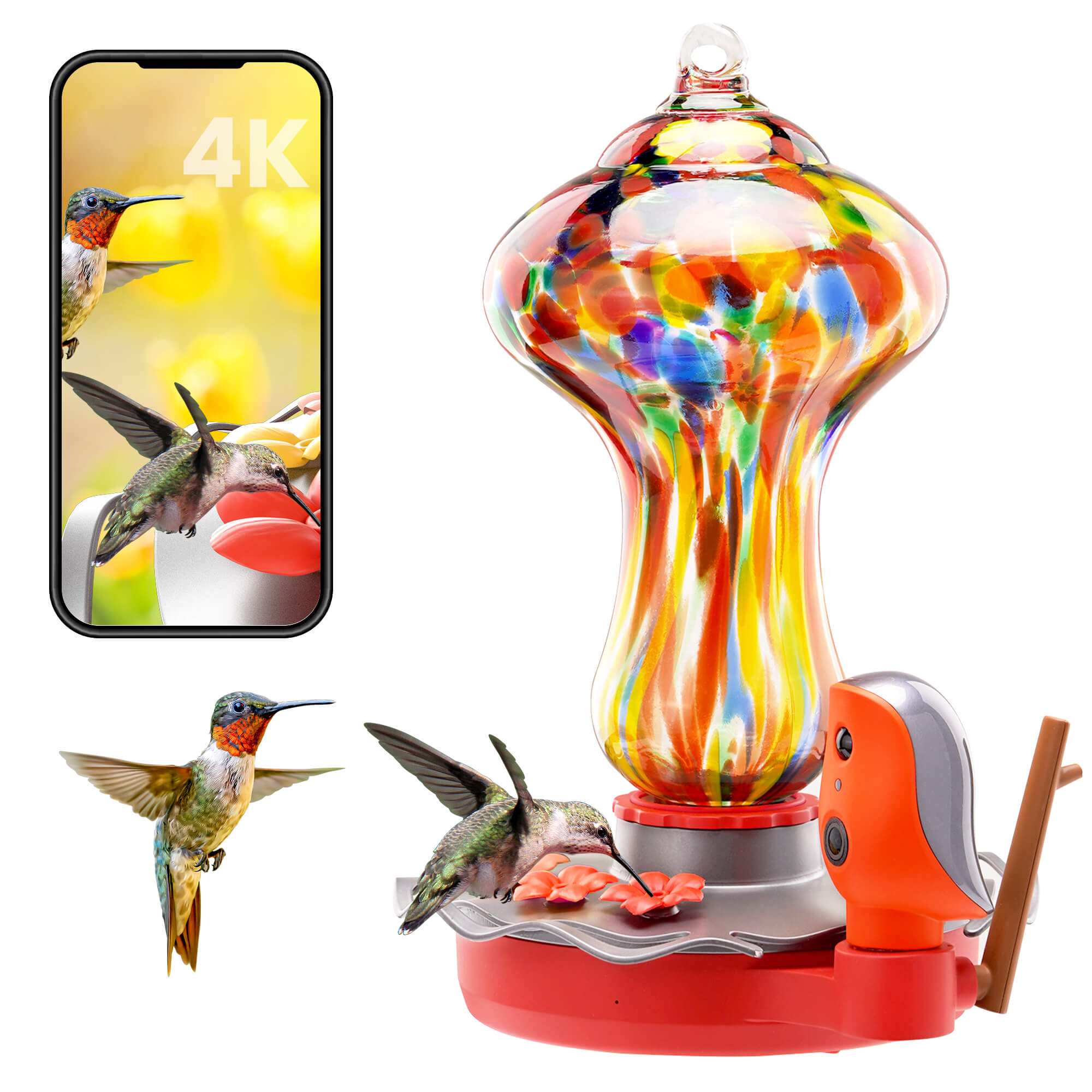 bbpEco Glass Hummingbird Feeder with Camera