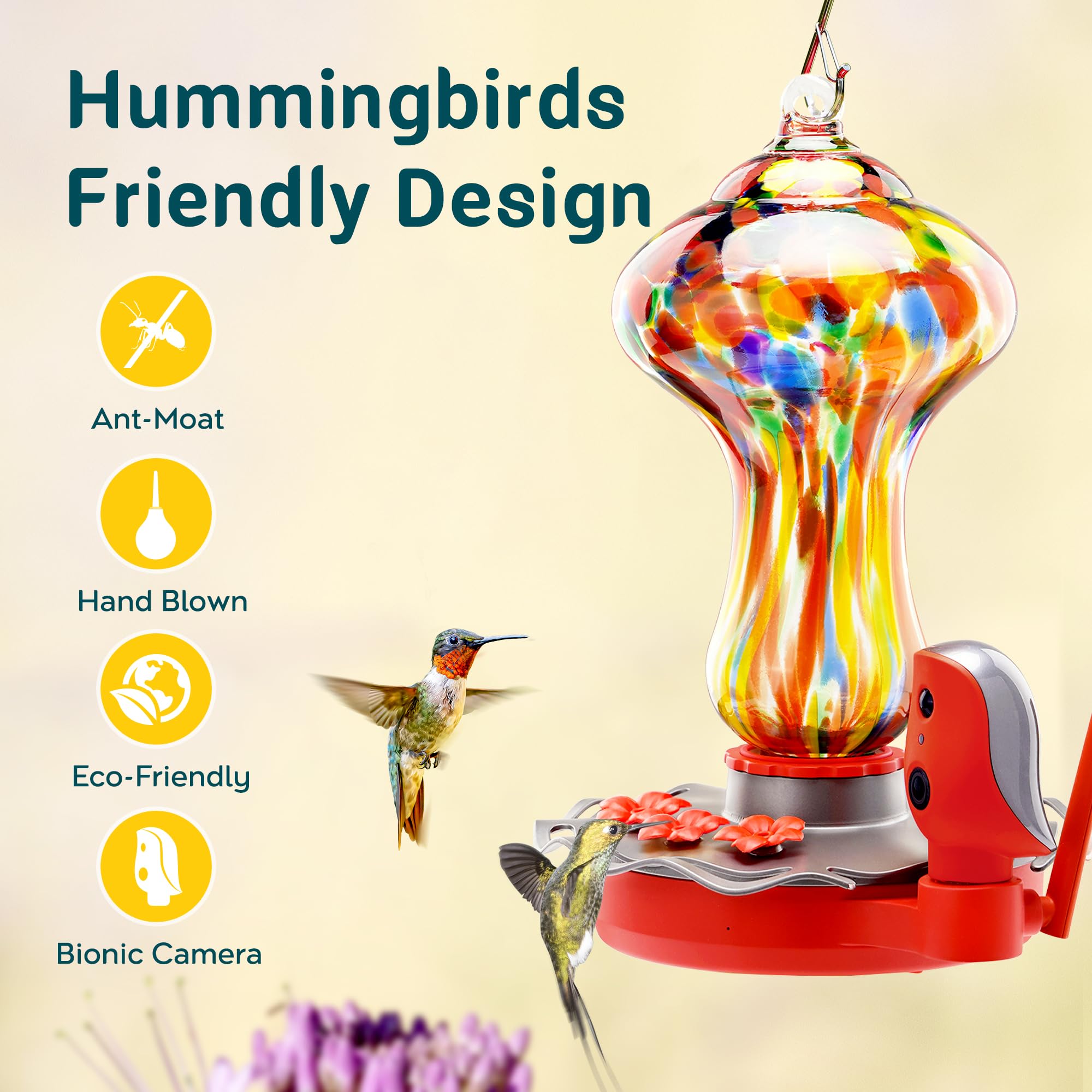 bbpEco Glass Hummingbird Feeder with Camera