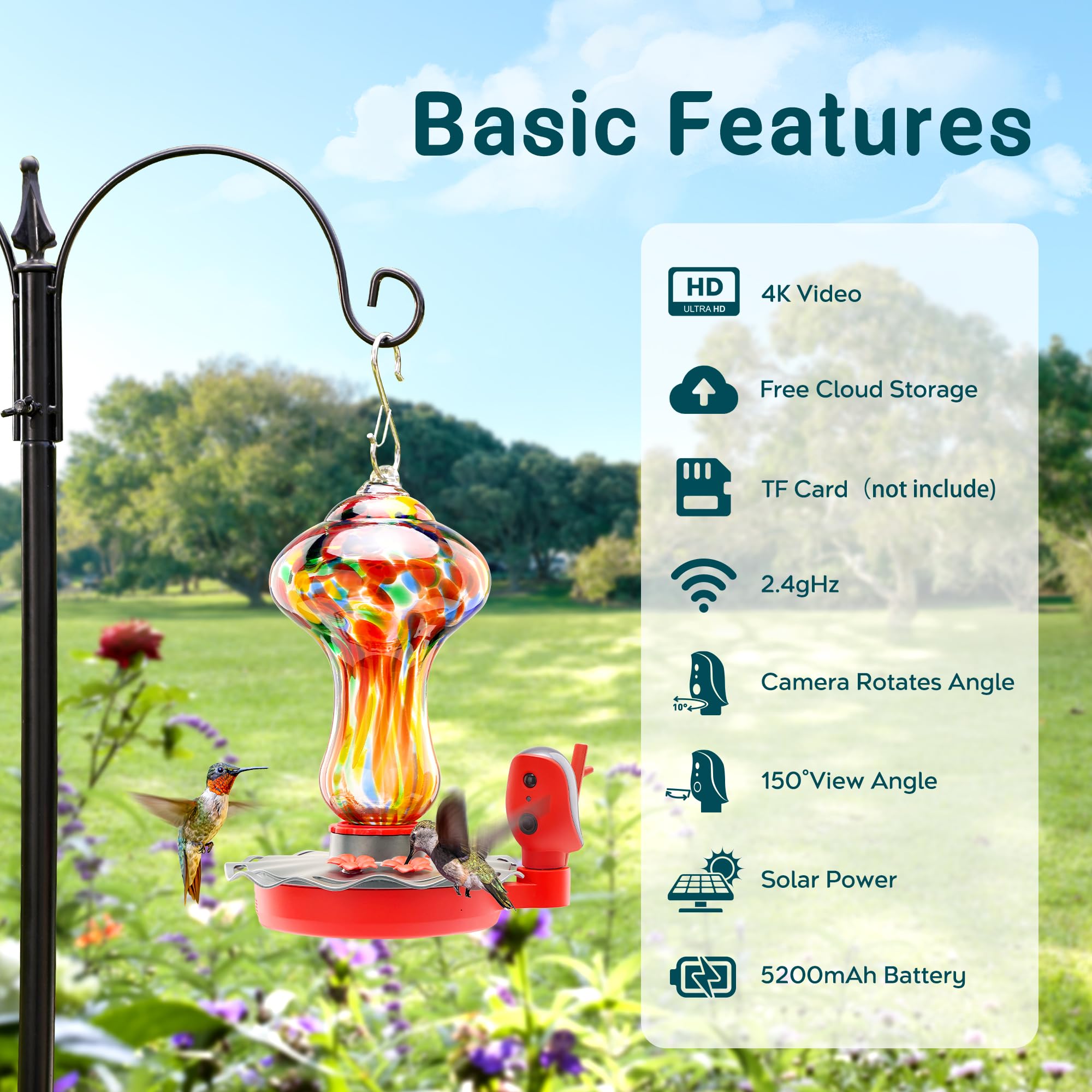 bbpEco Glass Hummingbird Feeder with Camera