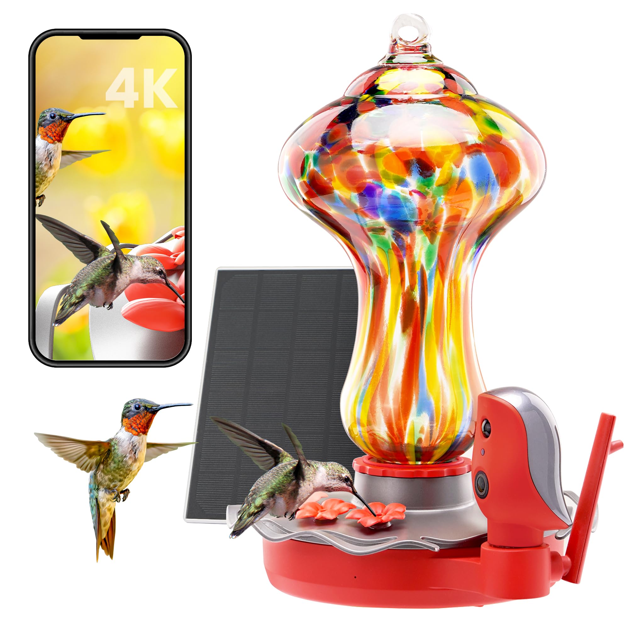 bbpEco Glass Hummingbird Feeder with Camera